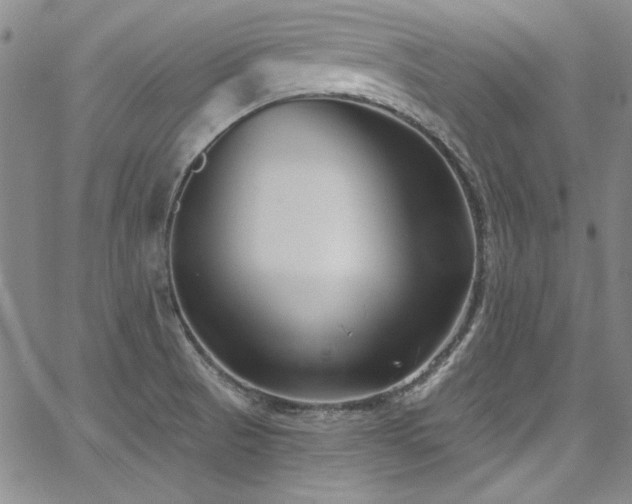 X0000068271521200604211057