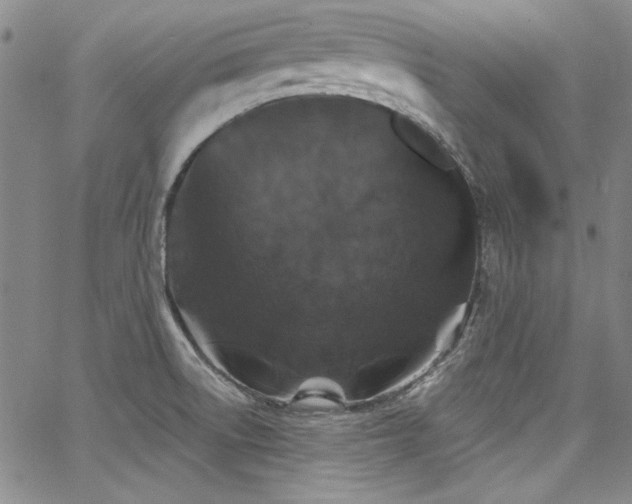 X0000068271522200604211057