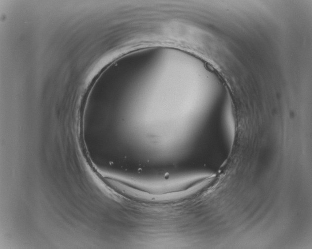 X0000068271523200604211057