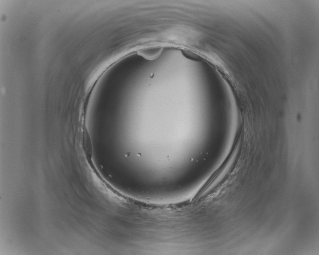 X0000068271524200604211057