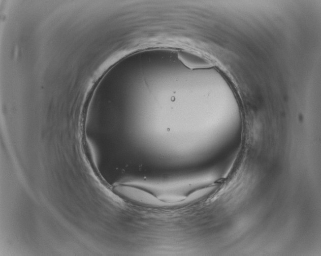 X0000068271525200604211057