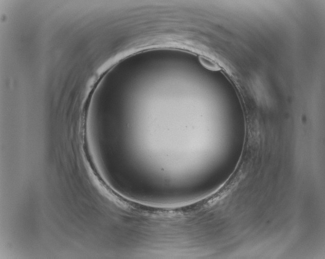 X0000068271526200604211057