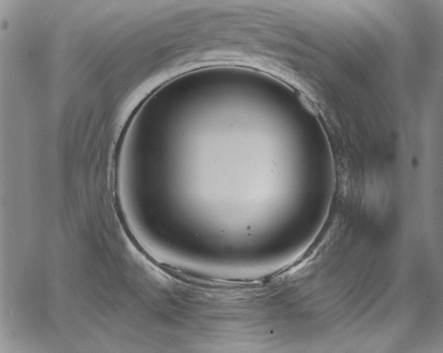 X0000068271527200604211057