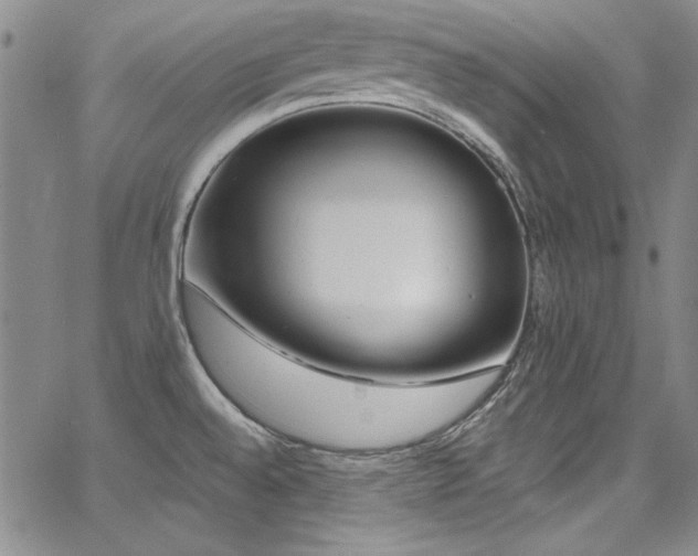 X0000068271528200604211057