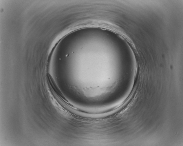 X0000068271530200604211057