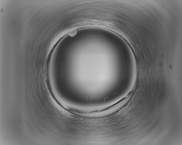 X0000068271531200604211057