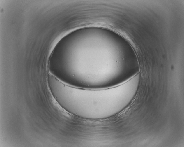 X0000068271532200604211057