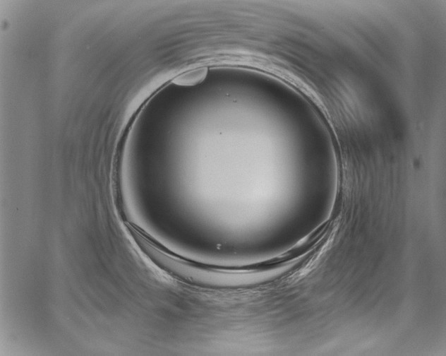 X0000068271533200604211057