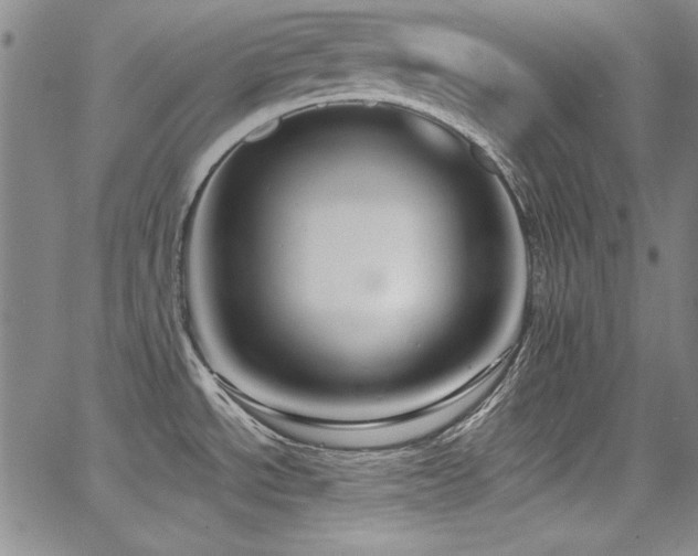 X0000068271534200604211057