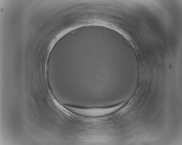 X0000068271535200604211057