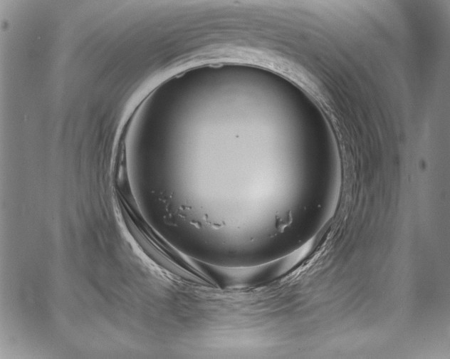 X0000068271536200604211057