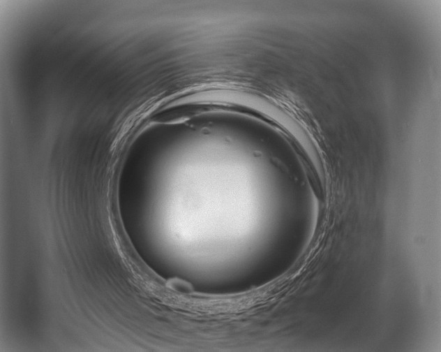 X0000068270001200604241310