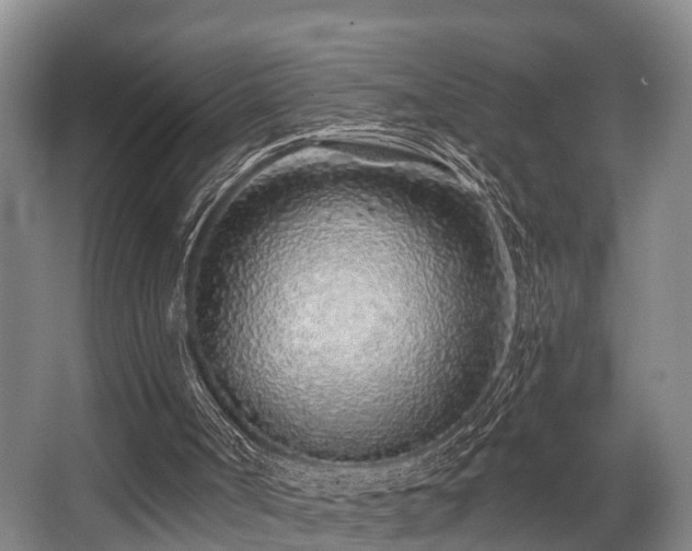 X0000068270002200604241310