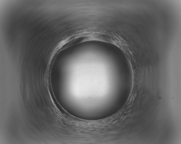 X0000068270003200604241310