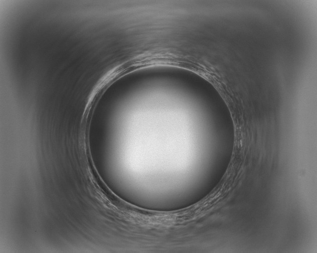 X0000068270004200604241310