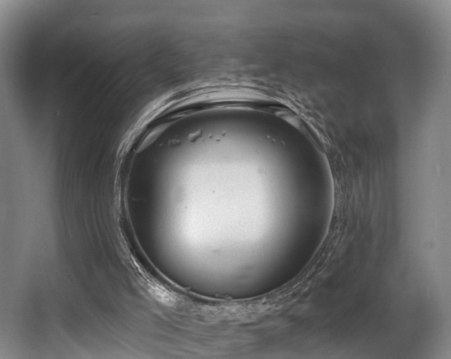 X0000068270005200604241310