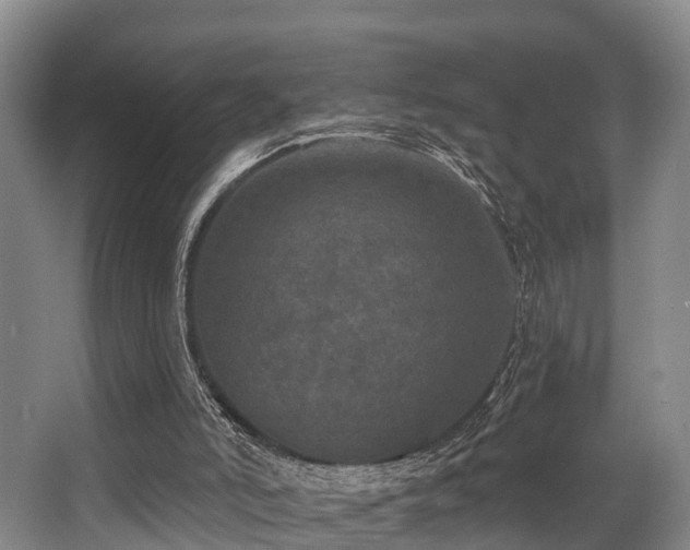 X0000068270006200604241310