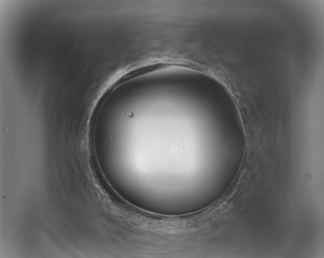 X0000068270008200604241310