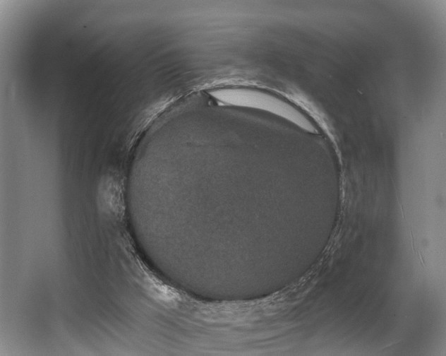 X0000068270009200604241310