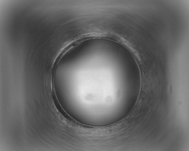 X0000068270011200604241310