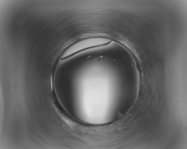 X0000068270013200604241310