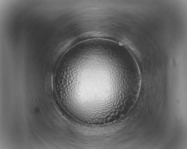 X0000068270014200604241310