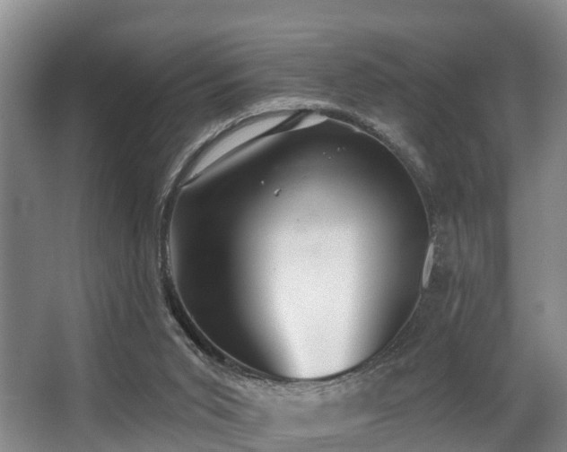 X0000068270015200604241310