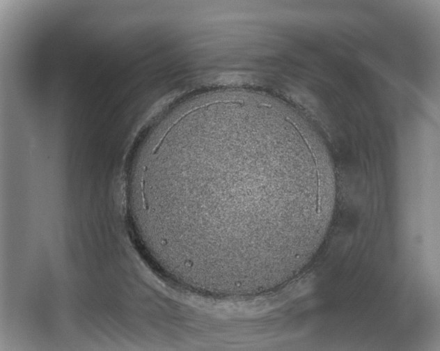 X0000068270016200604241310