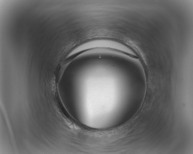 X0000068270017200604241310