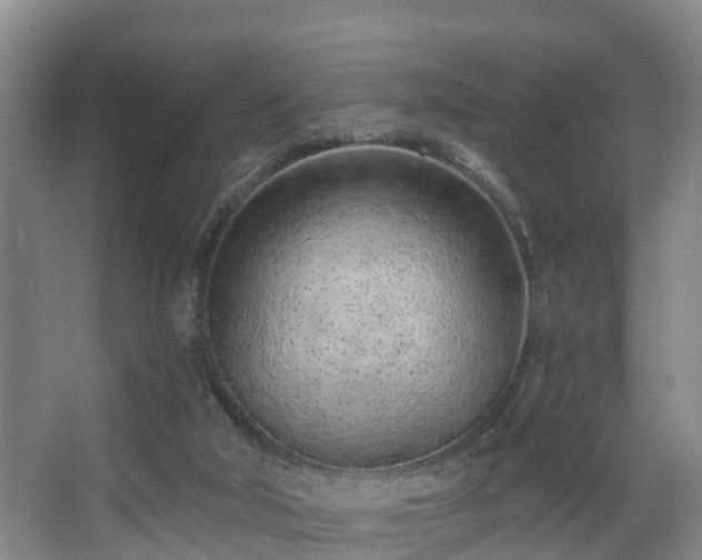 X0000068270018200604241310