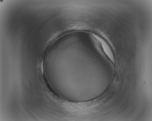 X0000068270019200604241310