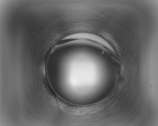 X0000068270021200604241310