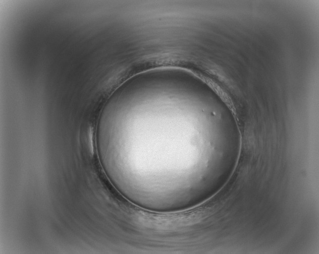 X0000068270022200604241309