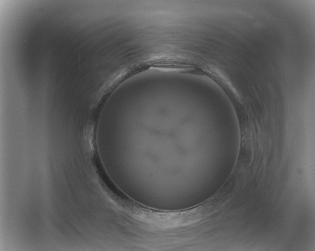 X0000068270023200604241309