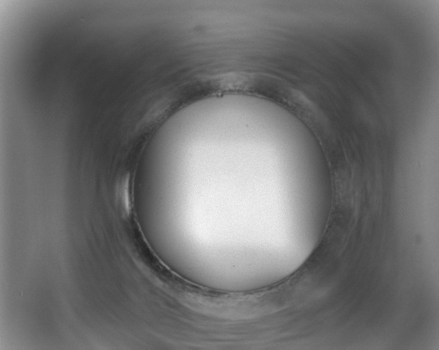 X0000068270028200604241309