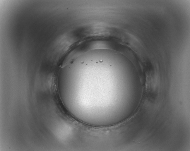 X0000068270029200604241309