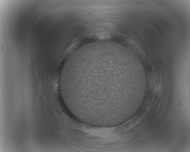 X0000068270032200604241309