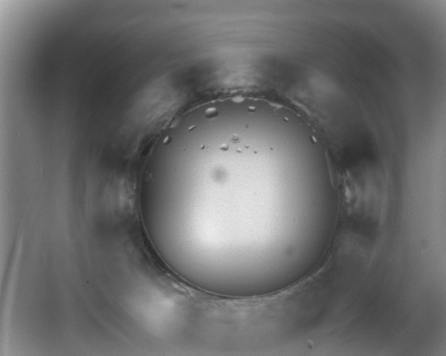 X0000068270033200604241309