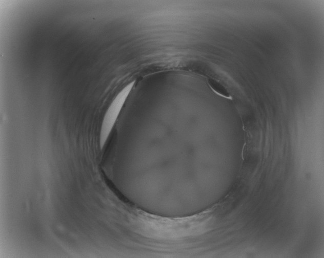 X0000068270035200604241309