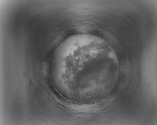 X0000068270036200604241309