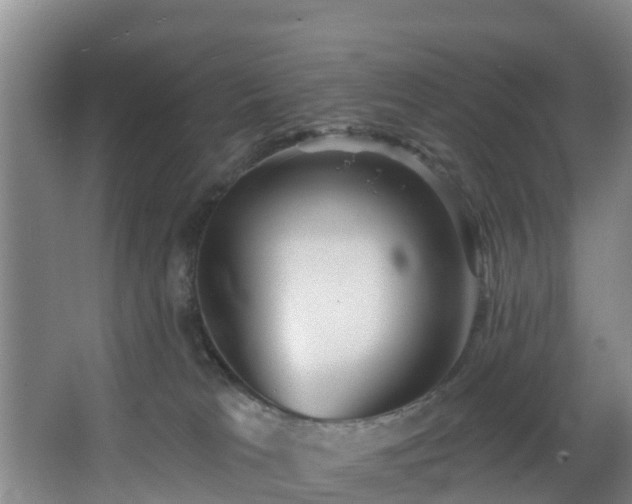 X0000068270037200604241309