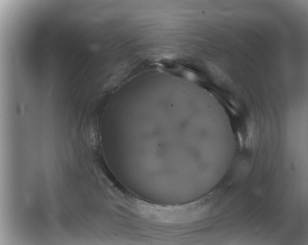 X0000068270039200604241309