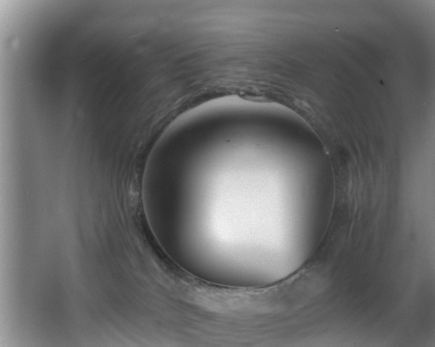 X0000068270040200604241309