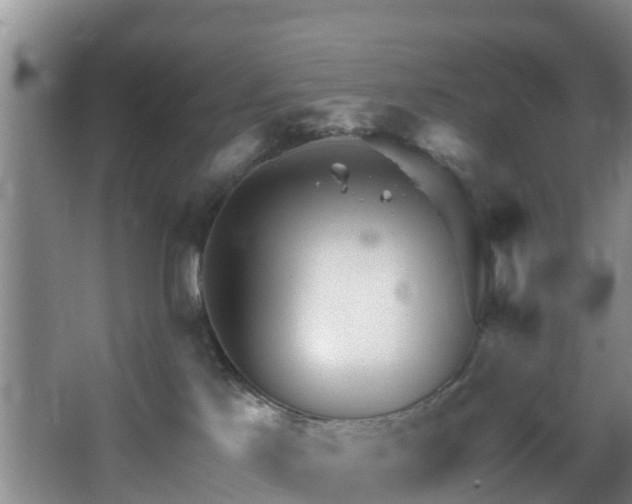 X0000068270041200604241309