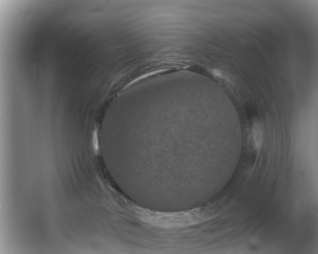 X0000068270042200604241309