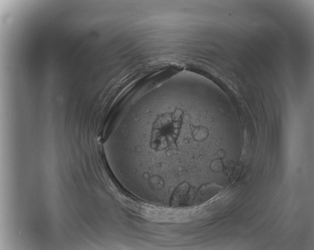 X0000068270048200604241309