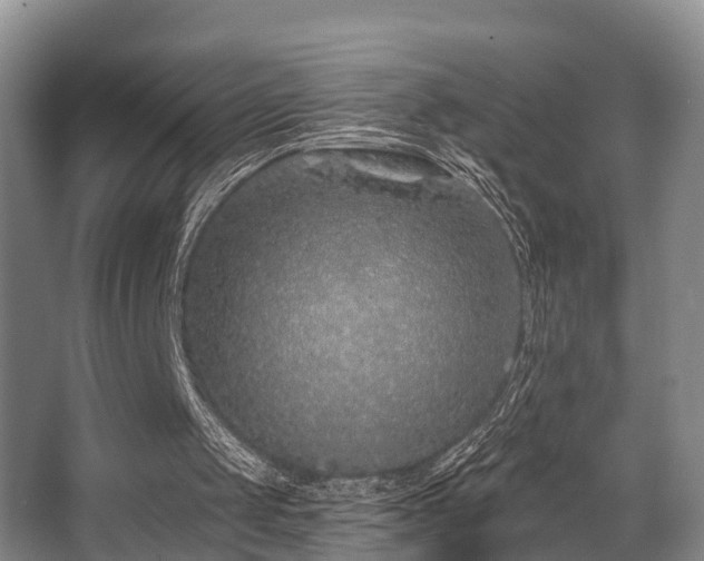 X0000068270049200604241308