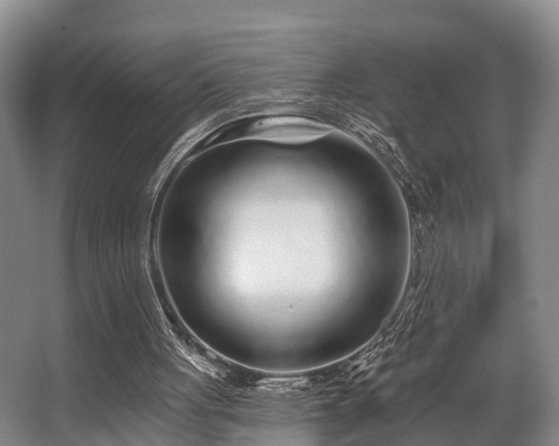 X0000068270051200604241308