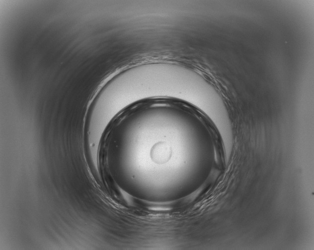 X0000068270052200604241308