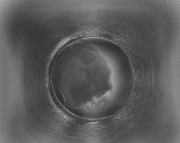 X0000068270054200604241308